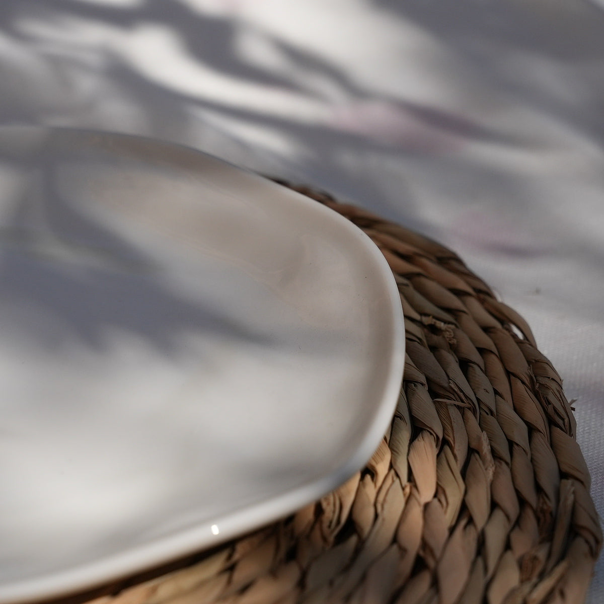 Organic White Medium Flat Plate