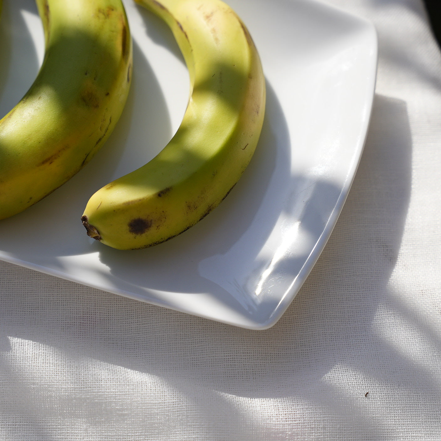 Classic Rectangular Serving Platter