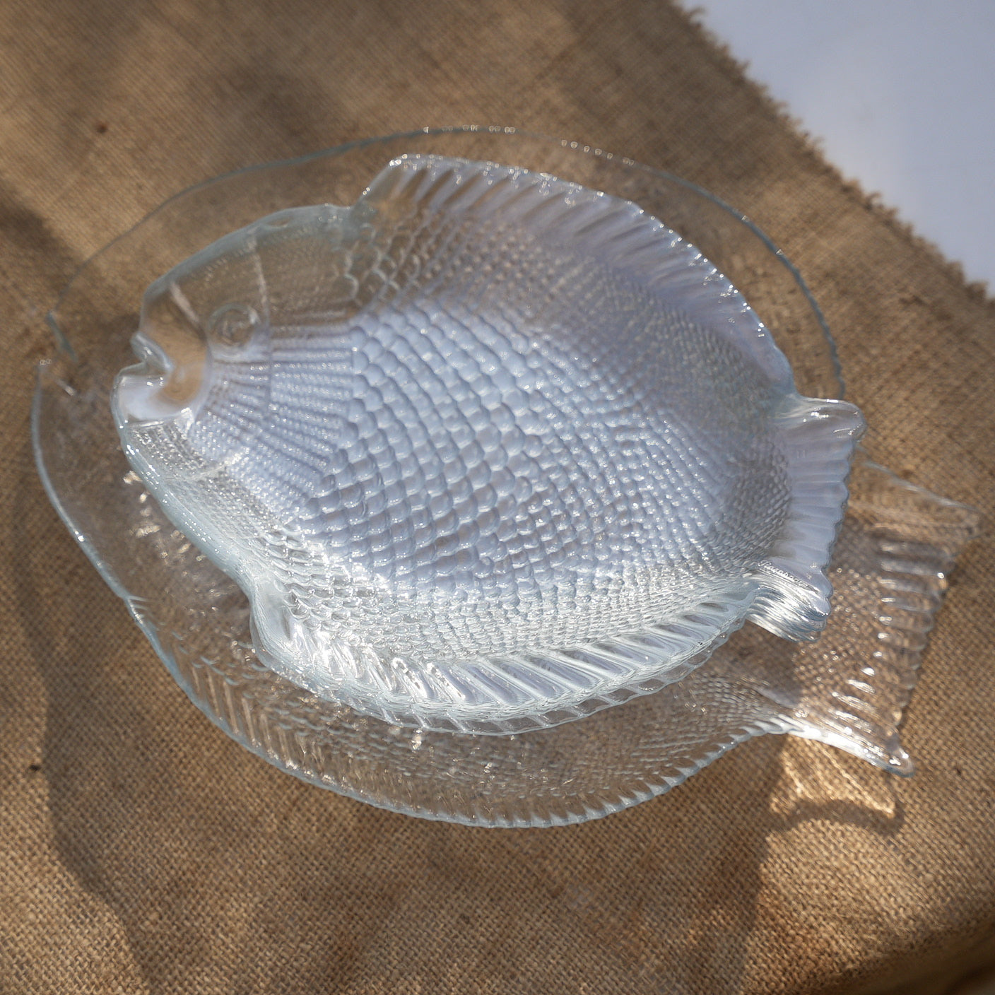 Crystal Reef Fish Plate Set (7 Pieces)