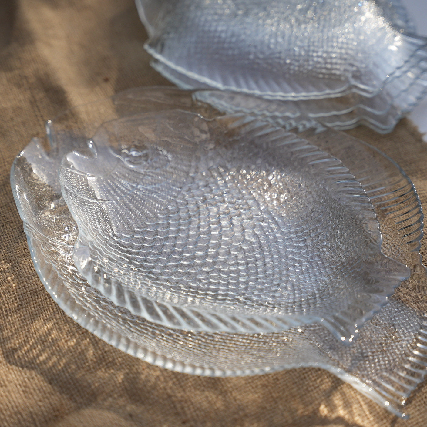 Crystal Reef Fish Plate Set (7 Pieces)